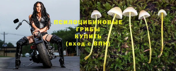 СК Беломорск